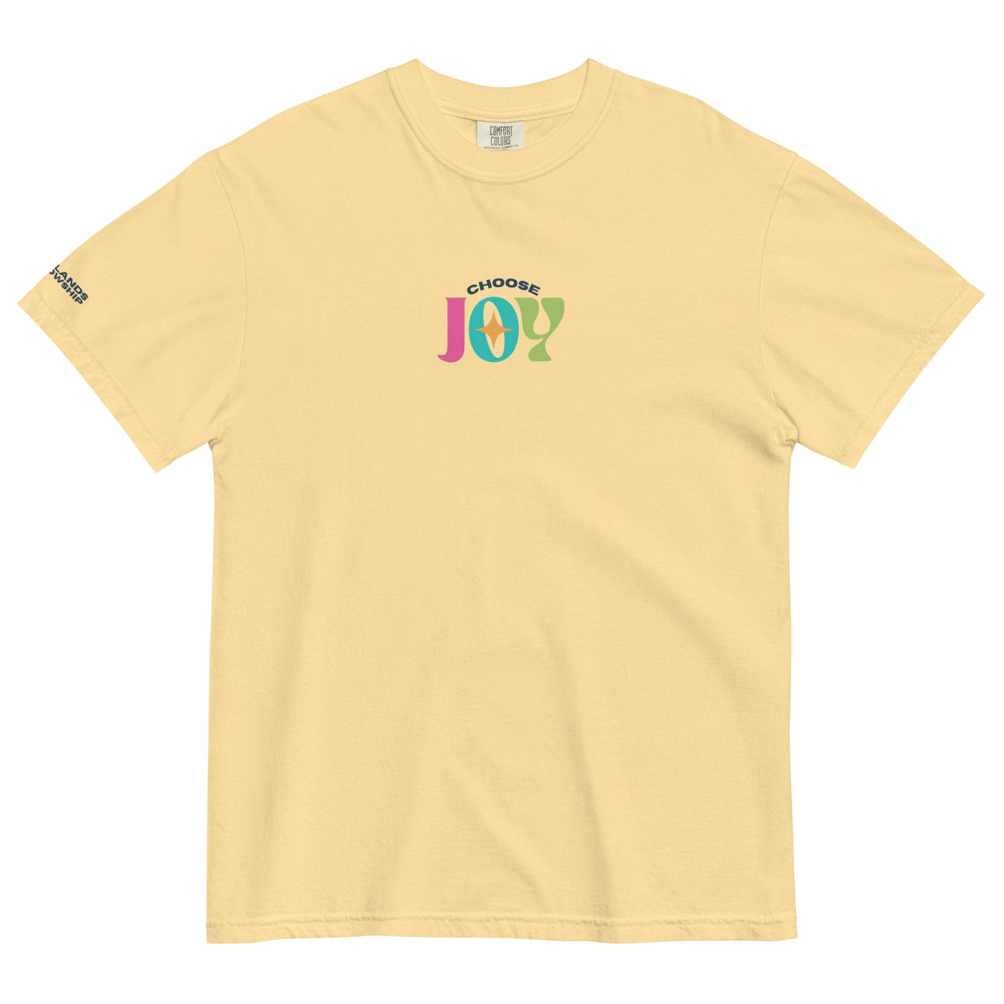 "Choose Joy" Unisex garment-dyed heavyweight t-shirt